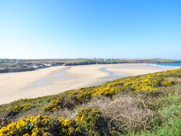 Saltwater Lejlighed New Quay Eksteriør billede